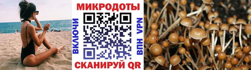 Псилоцибиновые грибы ЛСД  Чадан 